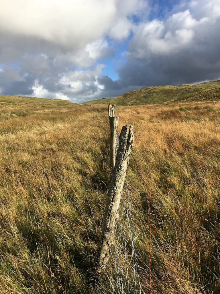 Existing fencing at Low Fell