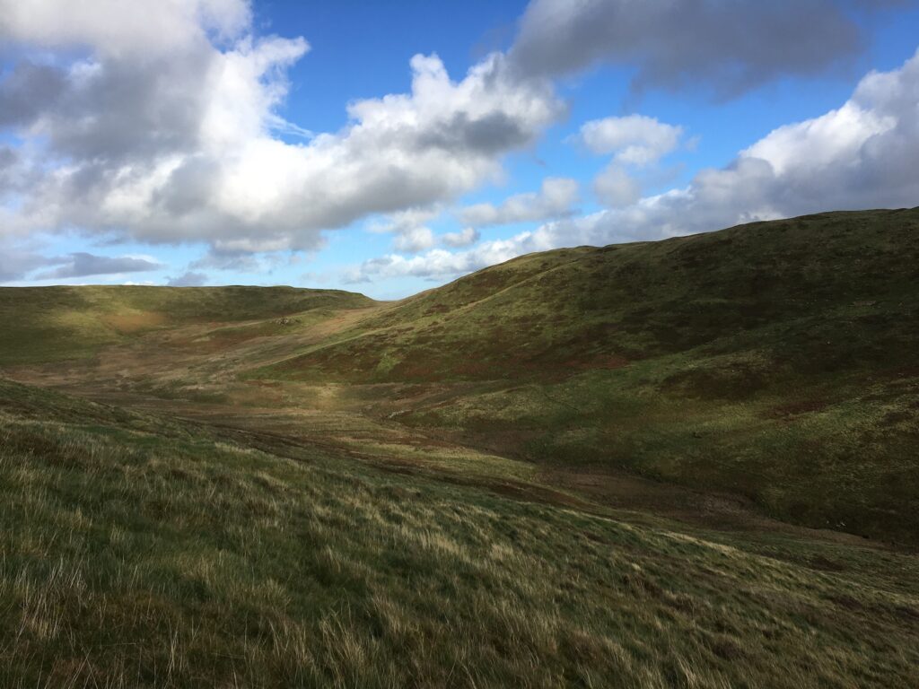 Low Fell