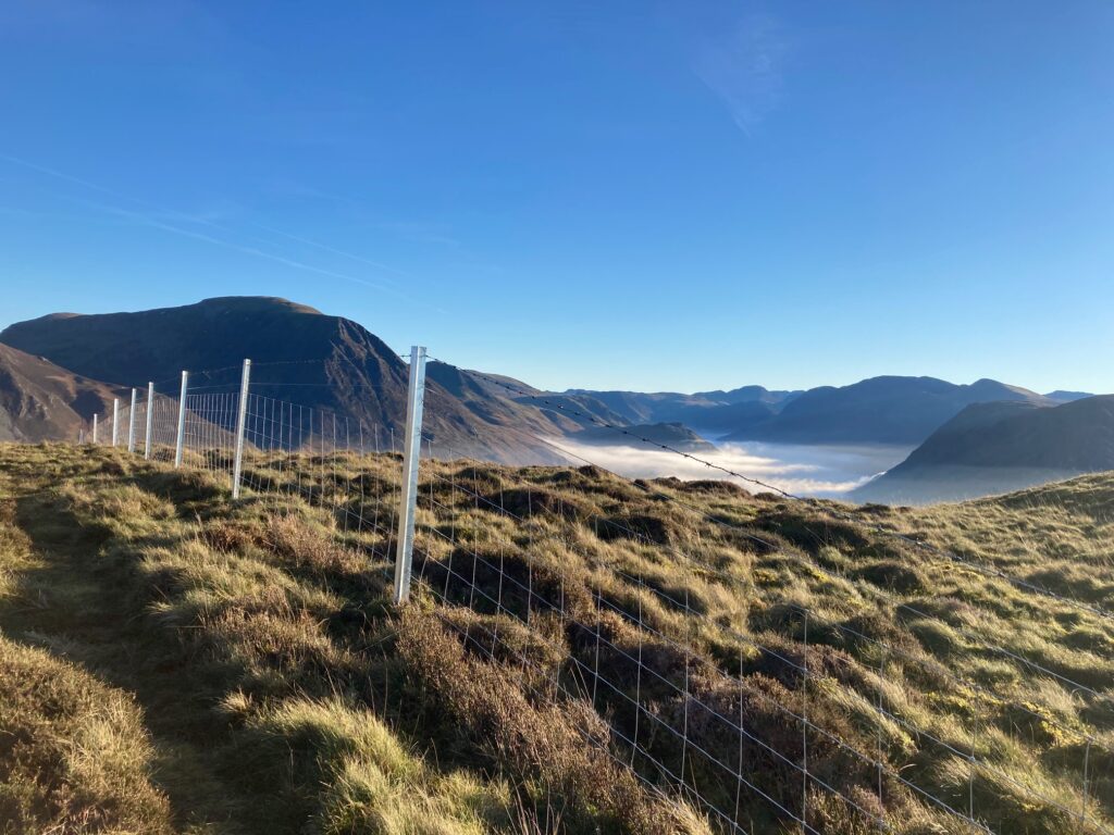 New fence at Low Fell