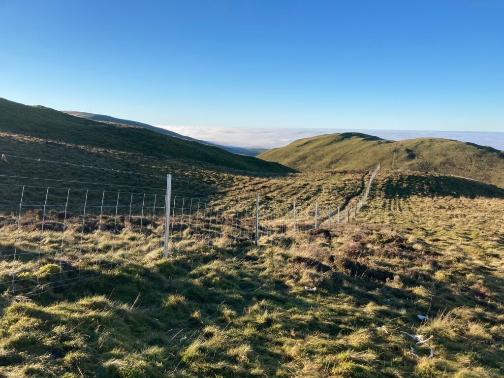 New fence at Low Fell