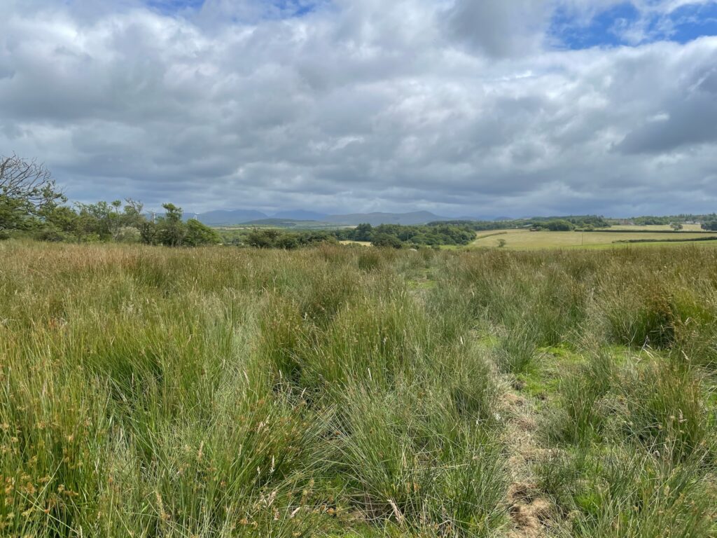 View of west field of Lodge Castle looking towards the Lake District mountains.